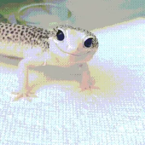Cute lizard thanks you for reading